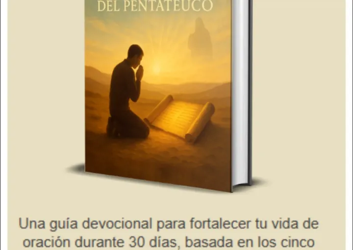 Código Divino - sección 8