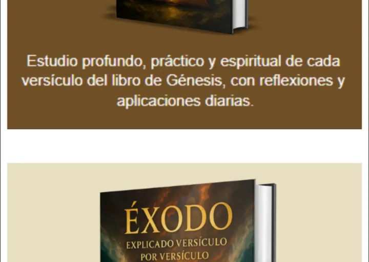 Código Divino - sección 10