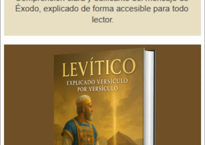 Código Divino - sección 12